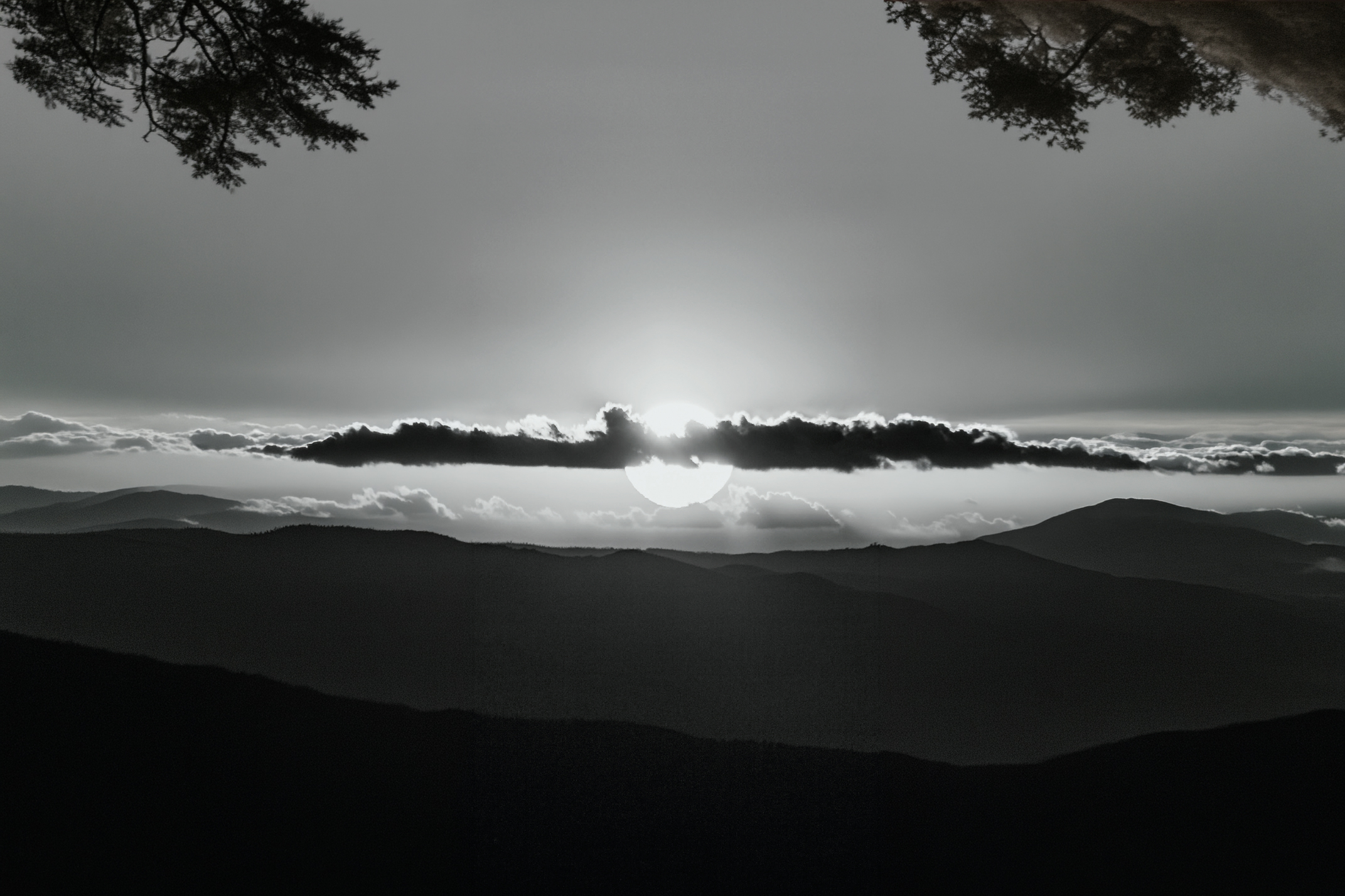 Luce